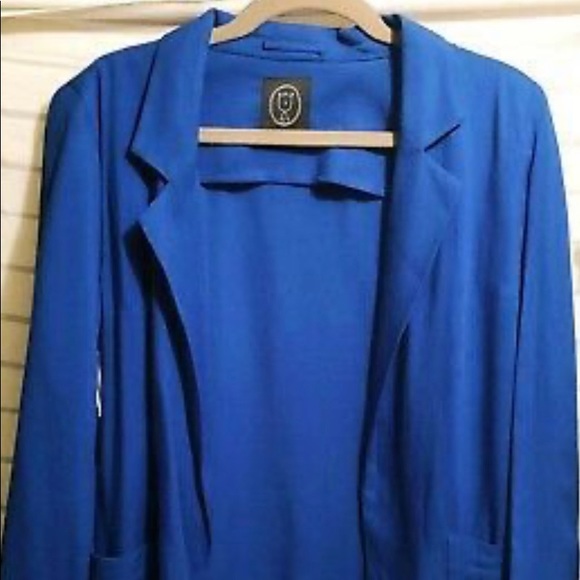 Royal blue Aritzia blazer - Picture 2 of 4